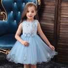 Children s Dress Princess Tutu Evening Dress Baby Girl Flowers Princess Dressess
