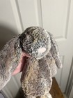 Jellycat Bashful Woodland Babe Bunny Plush Stuffed Grey Brown Small 11  Rabbit