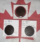 3 Different Canada Large Cents Lot N  All 1880 s  Up To Extra Fine W  Varieties