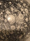  16 Lb  12 Oz  Large Crinoid Fossil Sphere  Black White Gray Colors  Usa Seller