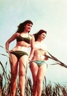 Vintage Bettie Page Photo 313 Oddleys Strange   Bizarre