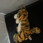 Gund Sears Vintage Tigger Winnie The Pooh Tigger Plush Stuffed Animal Toy 10 