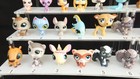 Many Different Lps Animals Littlest Pet Shop Original Authentic Hasbro