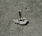 Single Silver Oak Leaf Cluster Ribbon Attachment