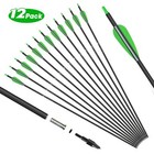 12pcs 30   Archery Carbon Arrows 100 Grain Broadheads Quiver Bow Target Hunting