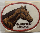 Nip American Quarter Horse Breed Souvenir Voyager Embroidered Iron-on Patch