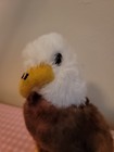 The Petting Zoo Bald Eagle Stuffed Animal Plushie  Gifts For 7 In  Brown 