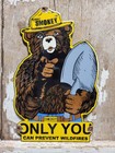 Vintage Smokey Bear Porcelain Sign Old Us Forest Service National Park Camp Fire