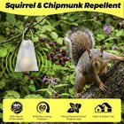 2-pack Squirrel Repellent Outdoor indoor  Chipmunk   Rodents Also 24 Balls Total