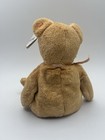 Ty Beanie Baby Cashew The Bear 2000 Collectible Plush Toy W  Tag