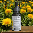 Dandelion Root Tincture