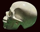 5 0  Howlite Hand Carved Crystal Skull  Realistic  Crystal Healing S80
