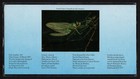 Great Britain  Scott   1098-1102  Mnh Booklet Presentation Pack Insects 1985