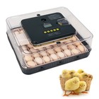 Large 56 Eggs Digital Incubator Automatic Humidity Chicken Duck Poultry Birds Us