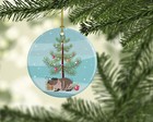 Skinny Guinea Pig Merry Christmas Ceramic Ornament Ck4447co1