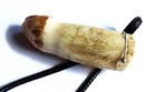 Amazonian Crocodile Tooth  molar  - 925 Silver - Genuine