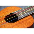 Aquila 138u Kids Colored Nylgut Soprano Ukulele Strings  Regular Tuning
