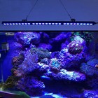 Populargrow 54w 81w 108w Led Aquarium Light Bar Blue Bulb Fish Tank Plant Coral