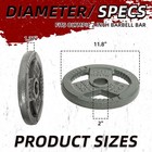 25lb    2 Cast Iron Weight Plates For Strength Training  Fits 2-inch Barbell