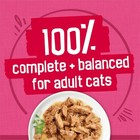 Purina Friskies Gravy Wet Cat Food Variety Pack  Surfin    Turfin    Pack Of 40  5 5