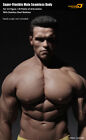 Tbleague Phicen M34 Male Seamless Muscular Body W  Steel Skeleton 1 6