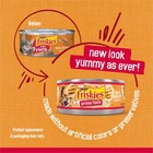 Purina Friskies Prime Filets With Chicken In Wet Cat Food Gravy -  pack Of 24   