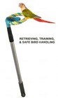 Perchpal Bird Perch For Retrieving  Training    Safe Handling Of Pet Birds