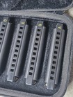 Hohner Roadhouse Blues 5-piece Harmonica Set Keys C g a d e W storage Case