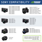 Wasabi Power Battery  2-pack  And Usb-c Dual Charger For Sony Np-fw50