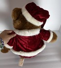 Dandee Christmas Snowflake Teddy Bear 14 Inch Plush 2005 Brown Boy Red Plush