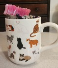 Mystery Jewelry Jar For A Little Girl Age 4-12 In A Cat Coffee Cup