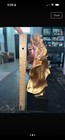 Golden Horse Head Statue 12  - Equestrian Trophy Sculpture On Black Base - Gold 
