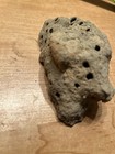 Large Mud Dauber Dirt Wasp Nest Great For Terrariums Or Display