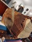 1911 Health And Longevity Book  15 Books In 1 Volume By 20 Specialists        Gj