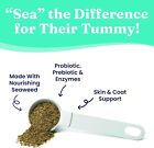 Cat Probiotic Dog Probiotics Prebiotics Enzymes For Digestive Health Kelp Powder