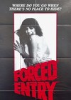 Forced Entry  1975  Original One Sheet Movie Poster     Excellent   horror  
