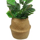 Woven Seagrass Belly Basket For Storage Plant Pot Indoorb decorative Sturdy A   