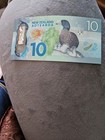 New Zealand 10 Dollar Polymer Banknote Very Pretty Note 