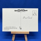Walt Disney World Vintage Postcard The Walt Disney World R r    Unposted