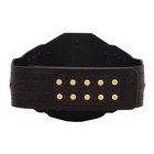New Wwe Nxt Championship 2024 Replica Title Belt Adult Size 2mm