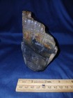 4 Lbs Brazos Valley Petrified Wood Black With Mineral Band