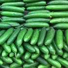 40 Heirloom Beit Alpha Burpless Cucumber Seeds - Persian Or Lebanese Cucumber