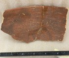 Salado Cliff White On Red Rim Piece Pot Sherd  Dates Between A d  1340 And 1450