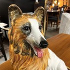 Italian Ceramic Hand Painted Collie Dog Figurine Sculpture 17 5 Inches Tall
