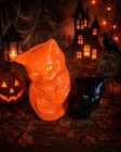 Blow  Mold Plastic Halloween Black Orange Cats Bank Scary Yellow Eyes Pair