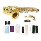 Alto Saxophone E Flat Gold Lacquer Alto Beginner Sax Full Kit With Sax Case
