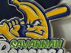 2024 United States Capitol Police Savannah Bananas Challenge Coin