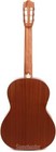 Cordoba Protege C1 Matiz Acoustic Guitar - Pale Sky