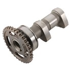 Hot Cams Camshaft For Kawasaki Klx 450 R  08-12  2196-1in