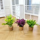 Dollhouse 1 12 Scale Miniature Plant Flower Vase Pot Potted Garden Accessory